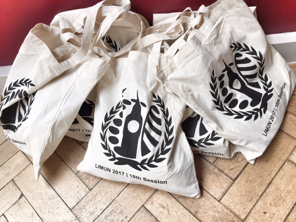 LIMUN 2017 : l'IRIS-MUN en simulation diplomatique à Londres