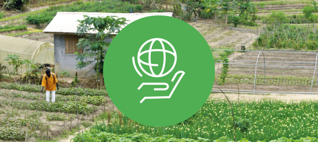 Les étudiants à distance de la formation 