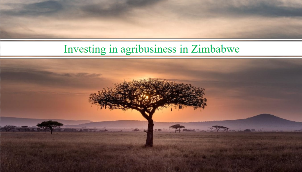 Jury final des projets consultant junior pour les étudiants GéoÉco !